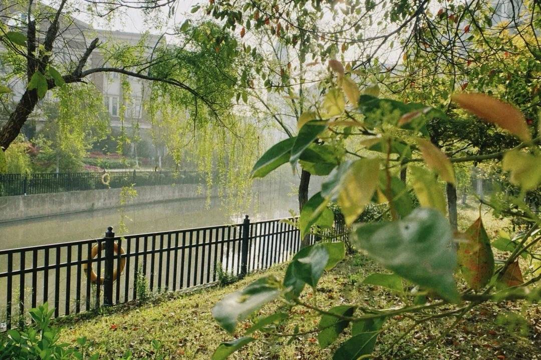 2026 最新上海国际高中排名梯队榜单 TOP 7